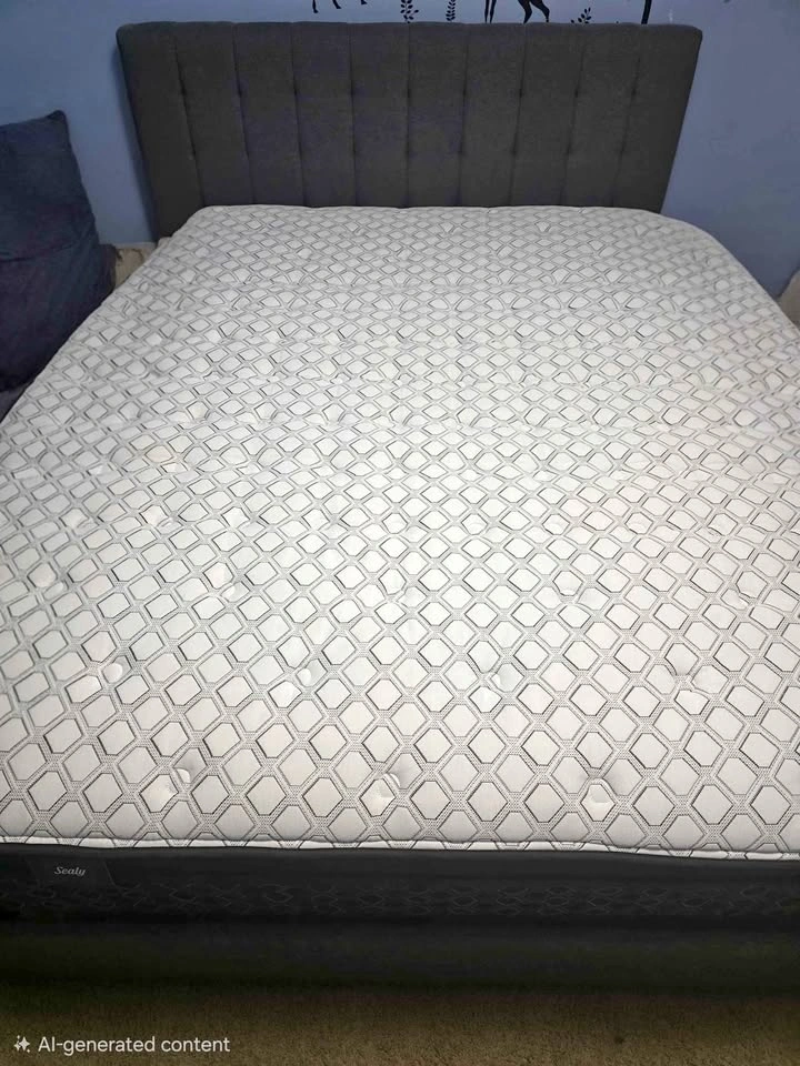Queen Bed Frame with Headboard & Sealy Mattress for Sale