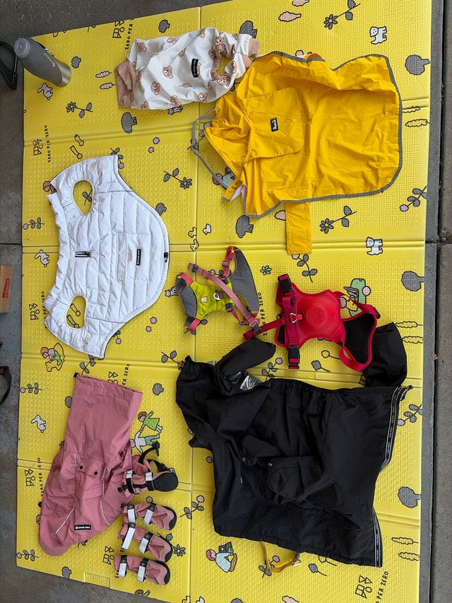 Dog clothes & accessories