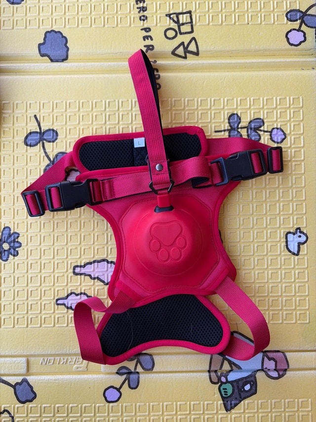 Dog clothes & accessories - photo 4