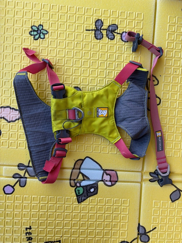Dog clothes & accessories - photo 5