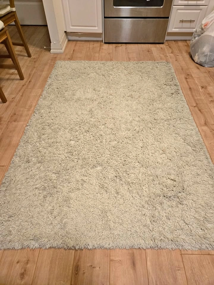 Two Eginhardt Shag Pure Ivory Area Rug 4'1" x 6'1"