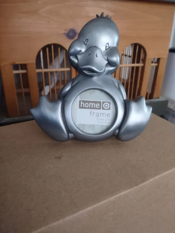 Duck picture frames for sale thumbnail