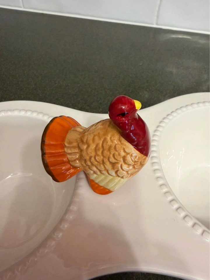 Never Used Cute Dei Double Dip Serving Bowl with Turkey and Acor - photo 4