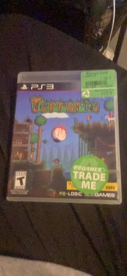 PS3 Terraria Game