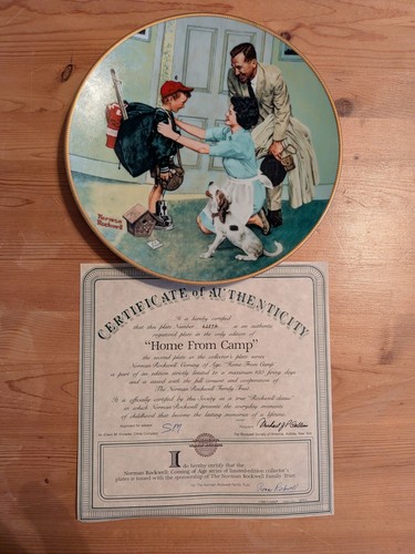 Norman Rockwell Home From Camp Collector Plate 1990 COA 8.5"