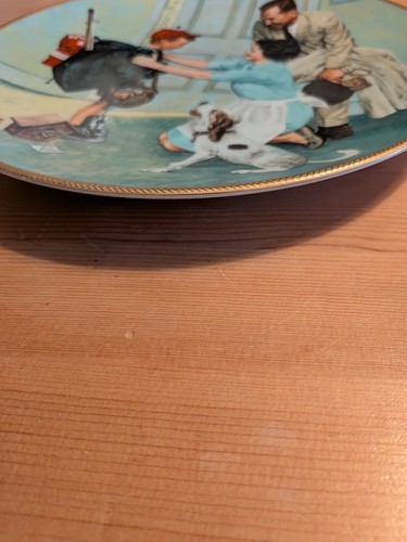 Norman Rockwell Home From Camp Collector Plate 1990 COA 8.5" - photo 3