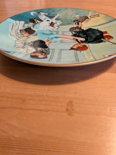 Norman Rockwell Home From Camp Collector Plate 1990 COA 8.5" - photo 5