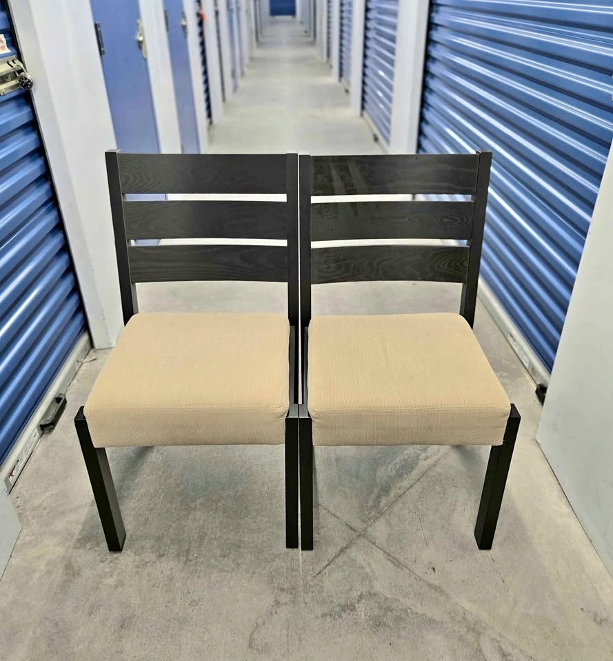 Set of 2 Modern Chairs