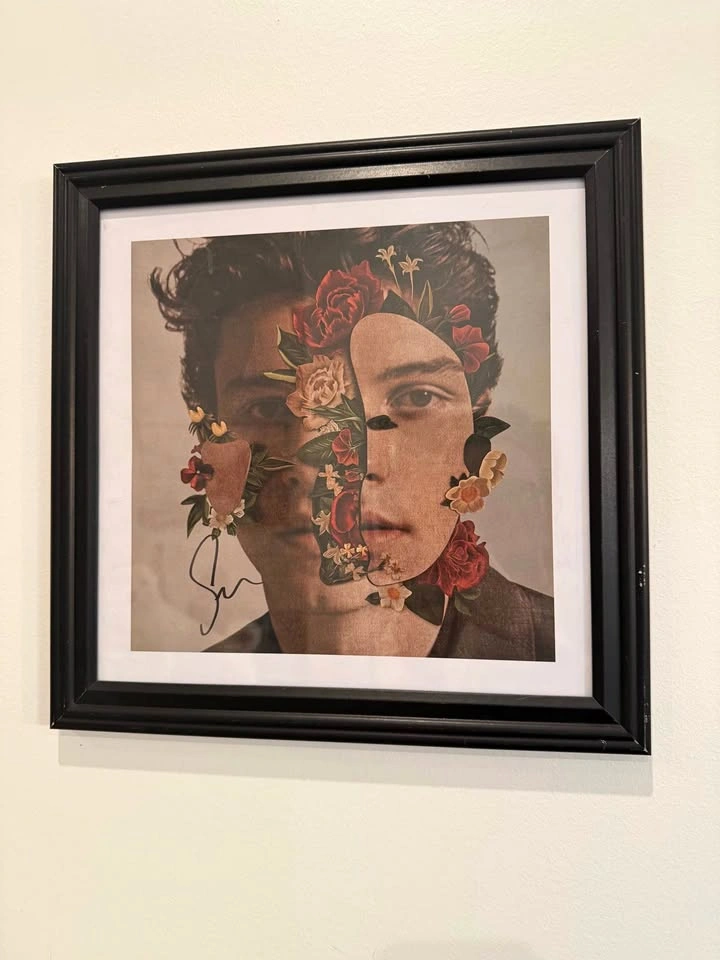 Shawn Mendes Signed Framed Album Art Print