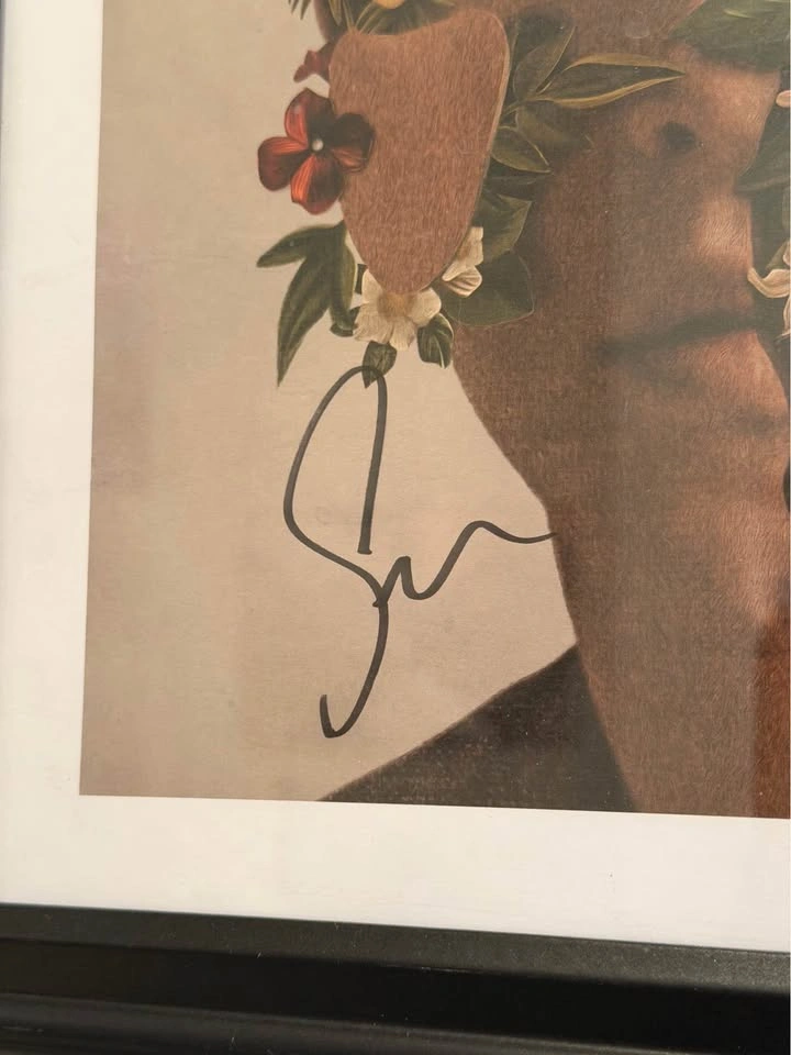 Shawn Mendes Signed Framed Album Art Print - photo 2