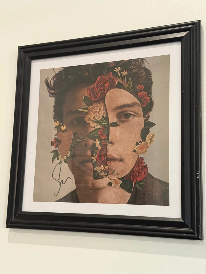 Shawn Mendes Signed Framed Album Art Print - photo 3