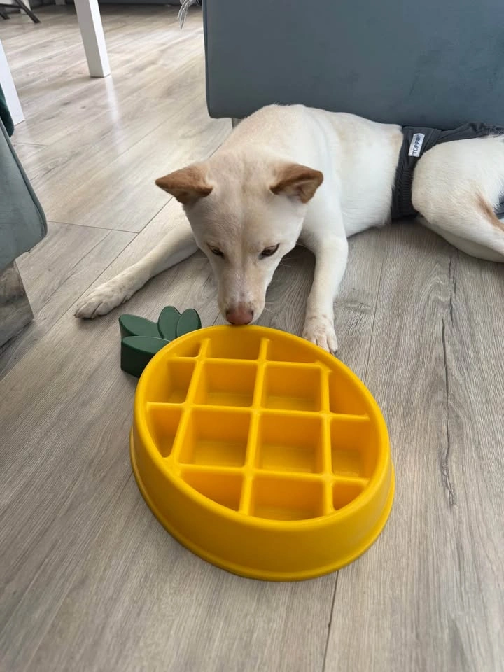 ZippyPaws Pineapple Happy Bowl Slow Feed Dog Bowl - photo 3