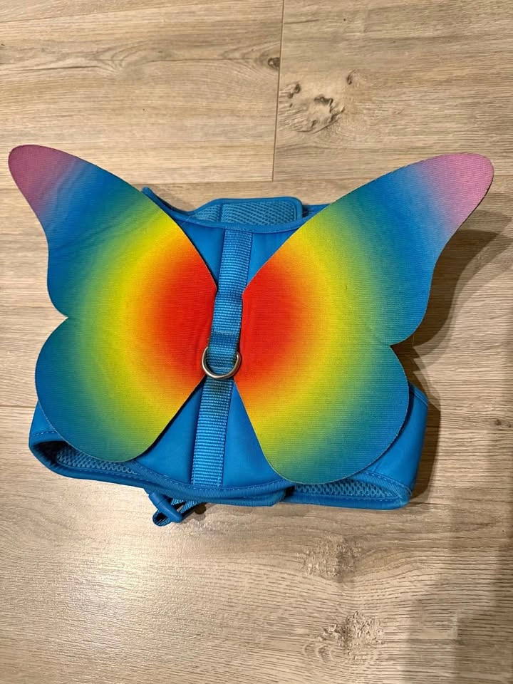 Butterfly Dog Harness - Blue, Size M
