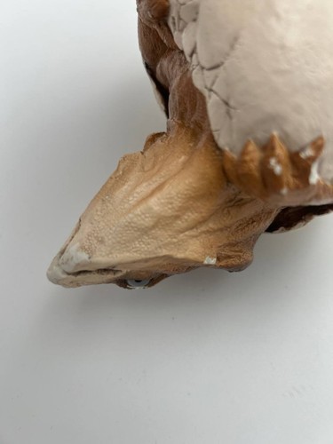 Windstone Hatching Galapagos Tortoise Figurine Pena 1987 Vintage - photo 4
