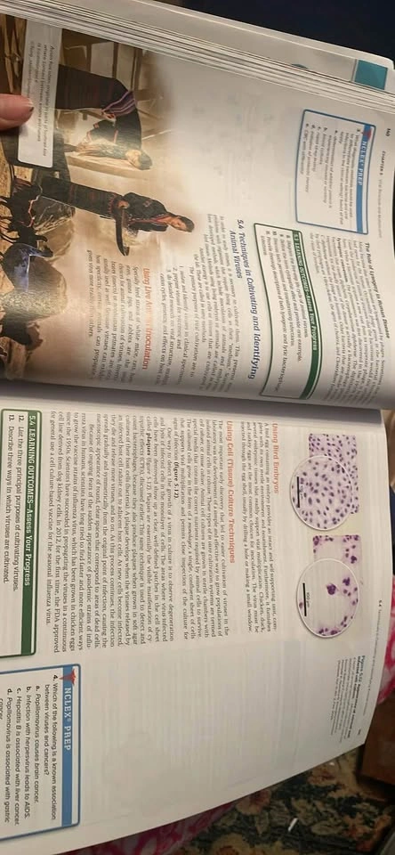 Microbiology Fundamentals - photo 3