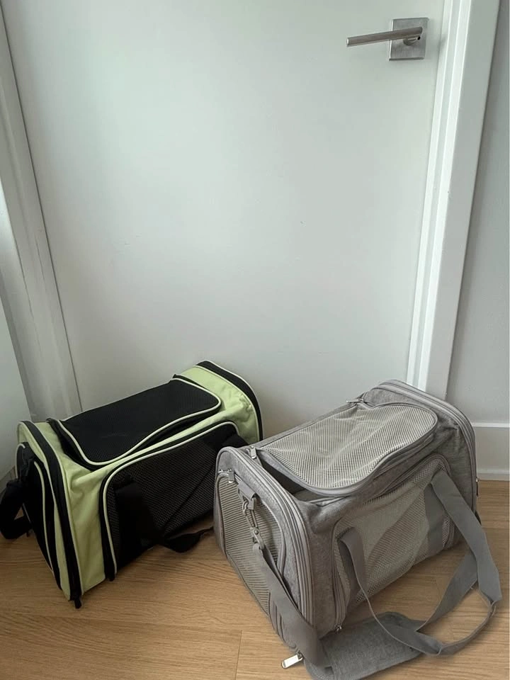 Soft Sided Pet Carrier (Small-Medium Cat/Dog) Green - photo 4