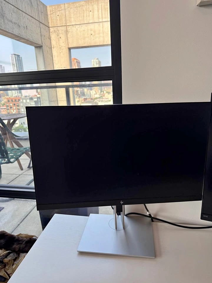 HP 25” Computer Monitor