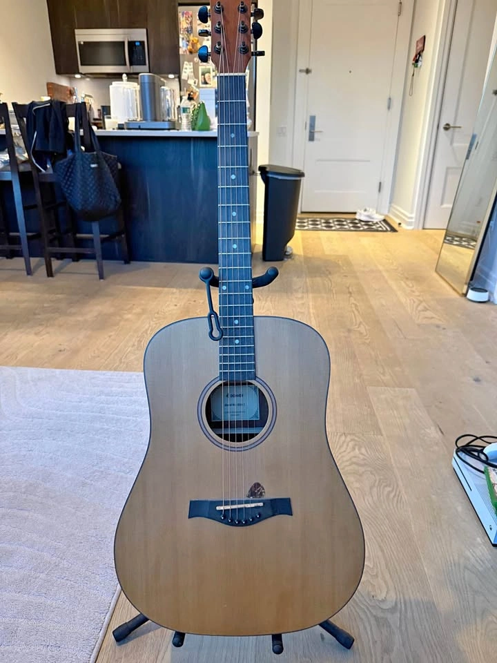 Donner DAG-1 Acoustic Guitar