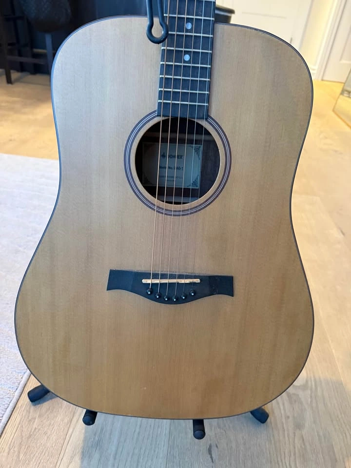 Donner DAG-1 Acoustic Guitar - photo 3