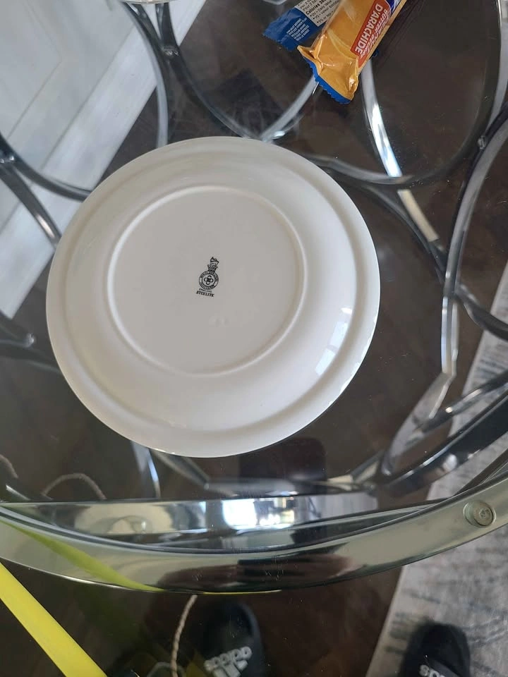 12 Vintage Royal Doulton Steelite Hotelware Salad Plates - photo 5
