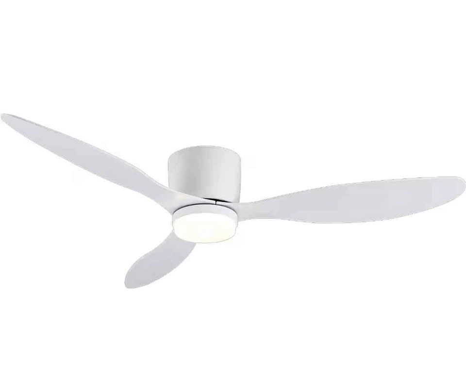 GESUM 52 Inch Ceiling Fan with Lights New