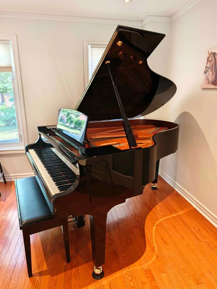 2021 Yamaha C3X Grand Piano - photo 2