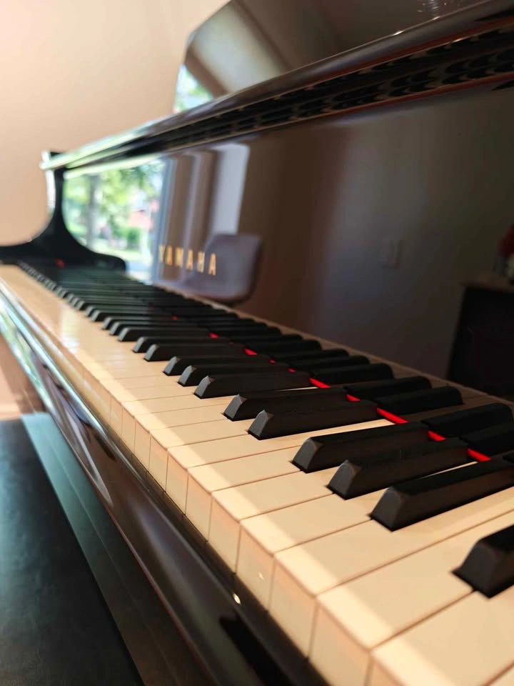 2021 Yamaha C3X Grand Piano - photo 3
