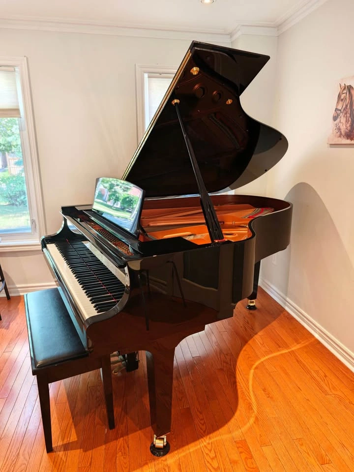 MOVING SALE - 2021 YAMAHA C3X GRAND PIANO - photo 2