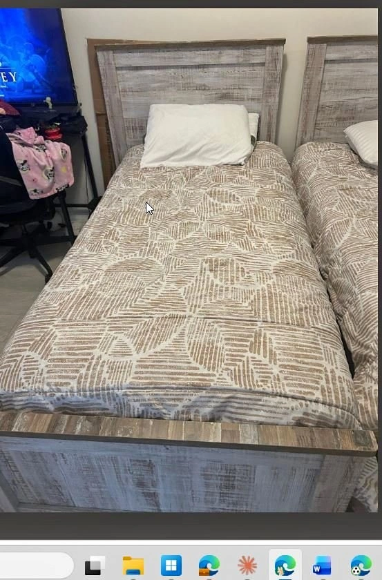 Rustic Whitewash Twin Bed (Includes Mattress & Box Spring)