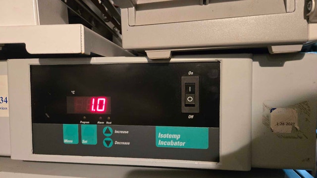 Fisher Sci. Isotemp 650D lab Incubator / Oven 5 to 75°C - photo 4
