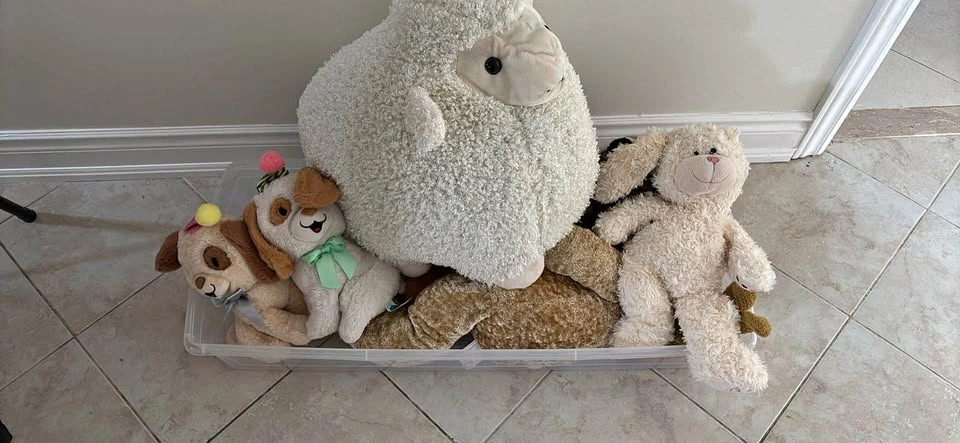 Assorted Plush Stuffed Animal Collection