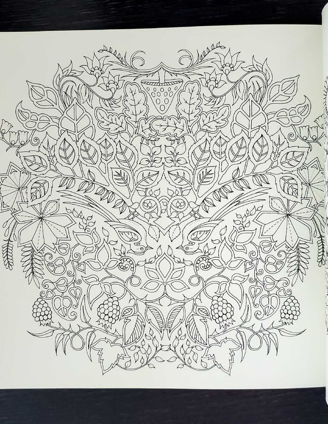 Johanna Basford Enchanted Forest Coloring Book - photo 3