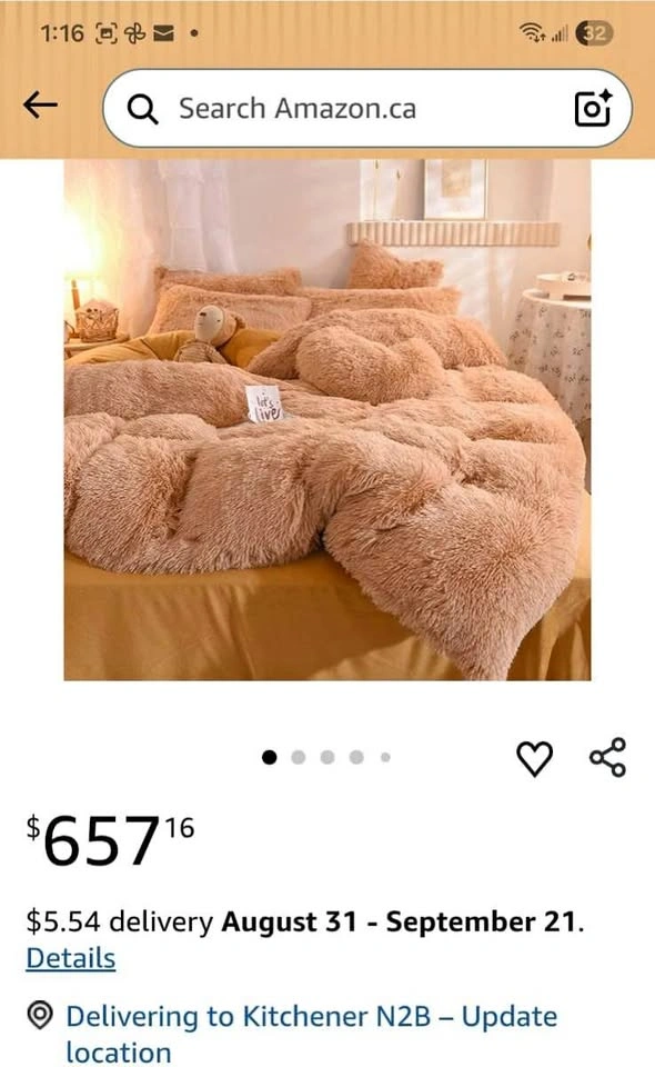 Shaggy Duvet Cover with 2 Pillow Cover set