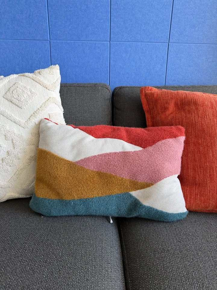 Colorful Accent Pillows - Fun Cozy Home Decor - photo 3