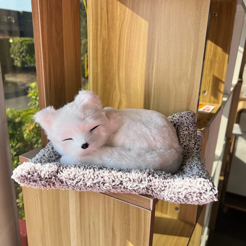 TYP-163 A2531 Cozy White Fox Plush $18 - photo 2