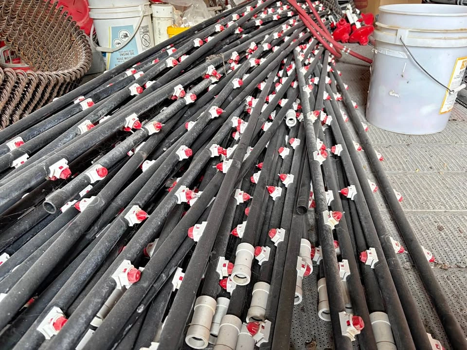 Poultry Waterline
