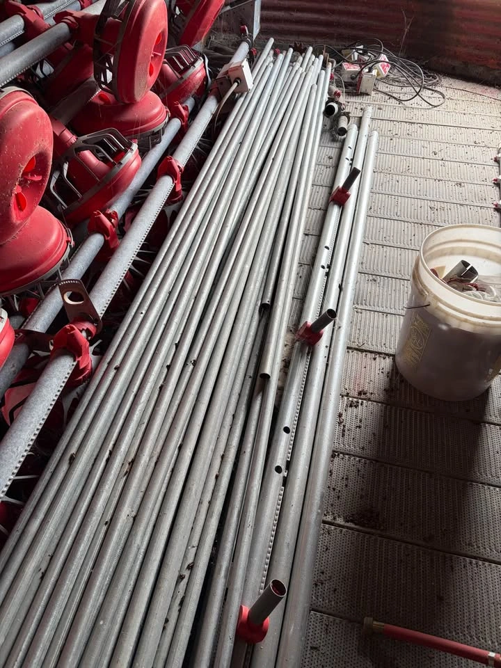Poultry Waterline - photo 2