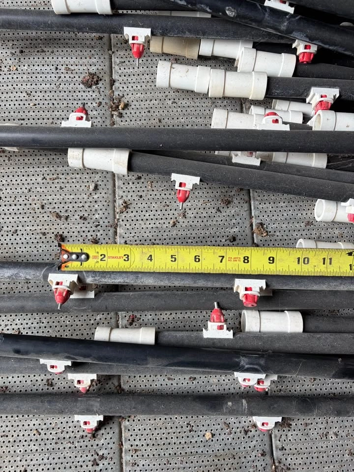 Poultry Waterline - photo 5