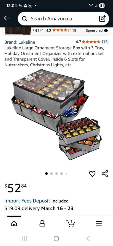 Large Storage box New