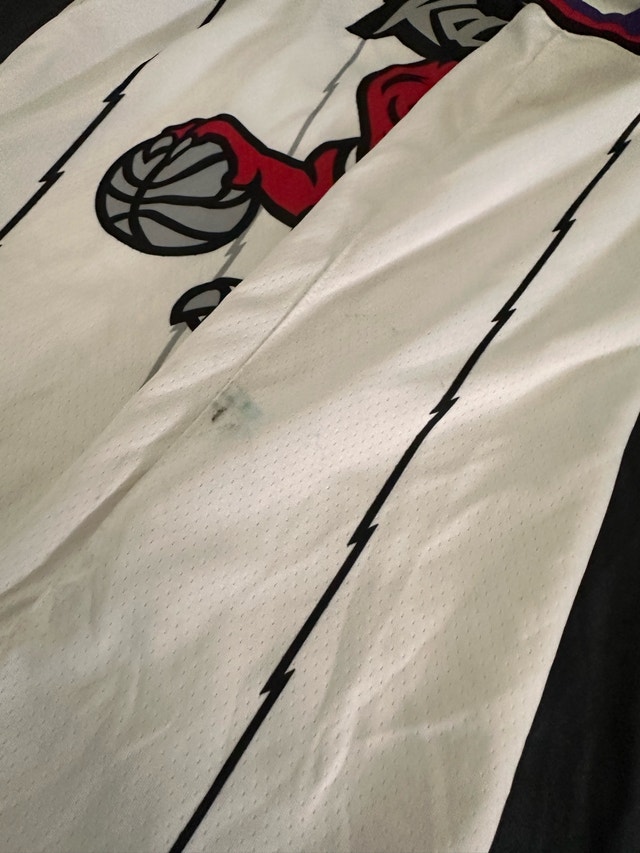 Nike Toronto Raptors Pascal Siakam Jersey - photo 5