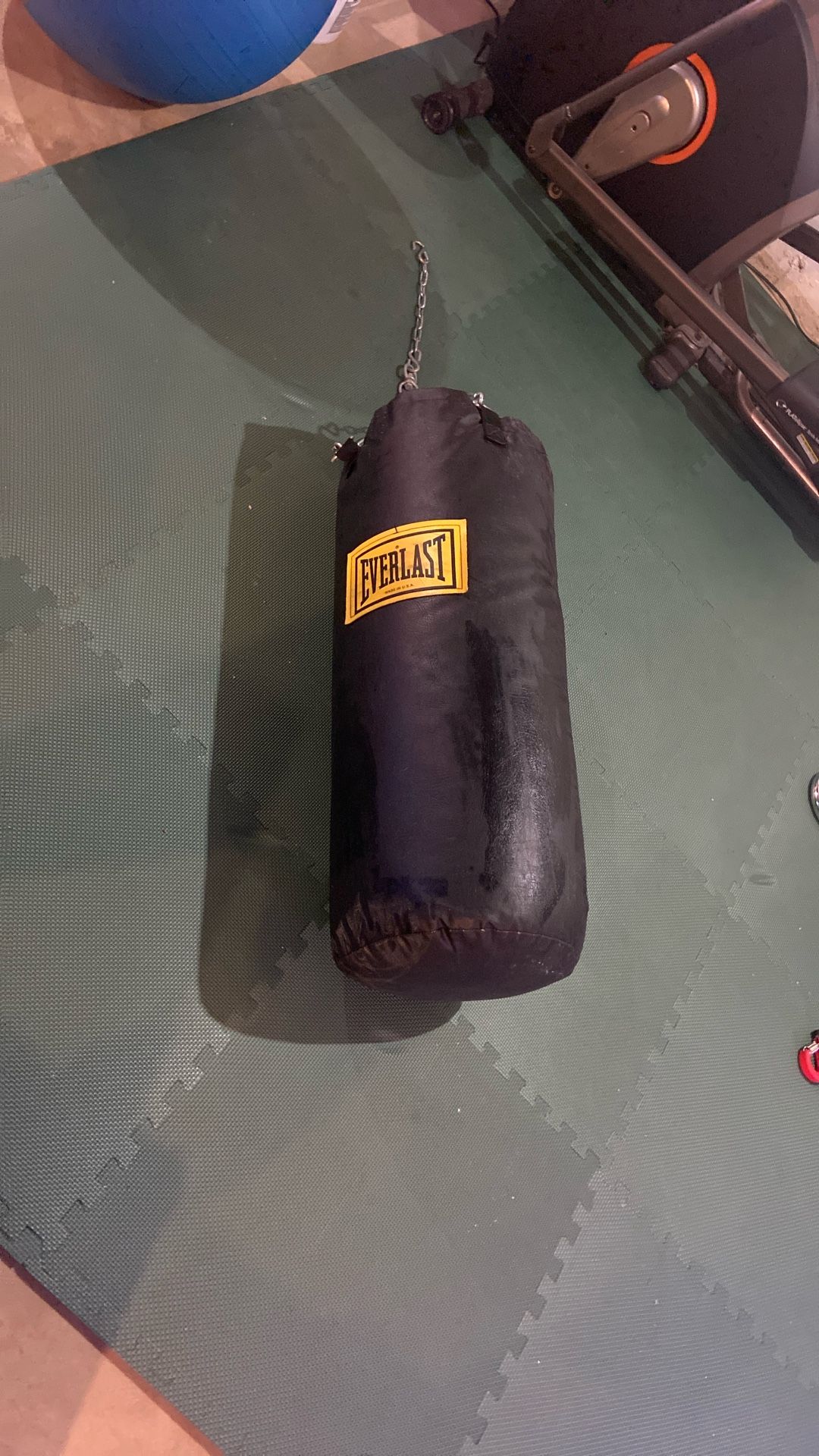 Everlast Heavy Punching Bag