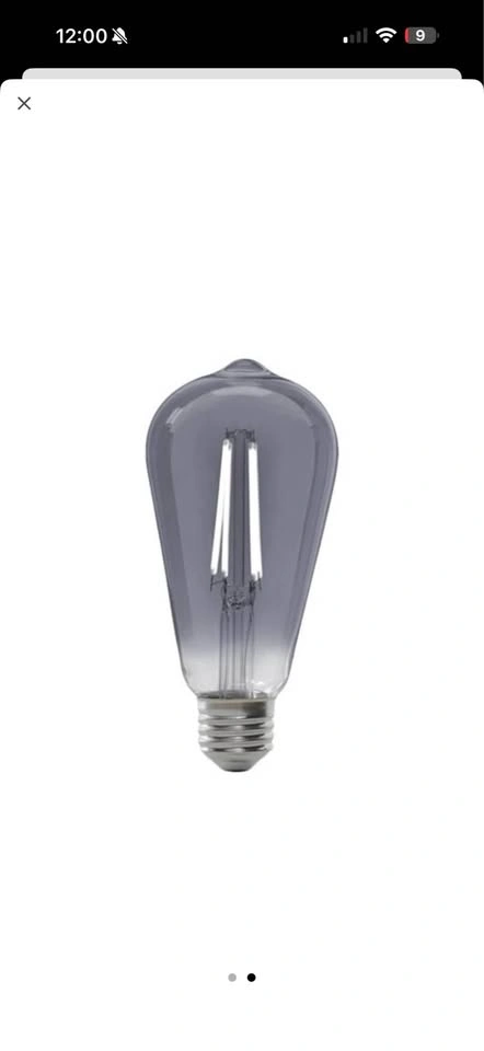 NOMA Designer Series ST19 E26 Smoke Style LED Light Bulbs 2 coun - photo 5