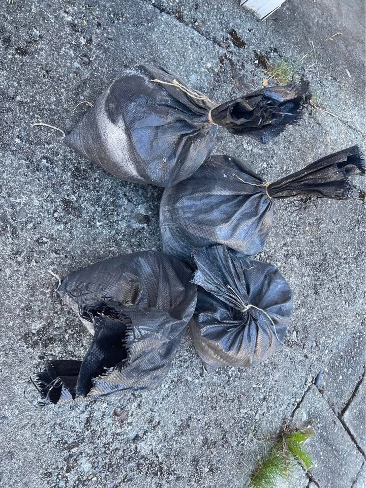 Sandbags - photo 2