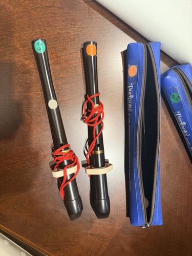 Children's Recorders Lot of 2