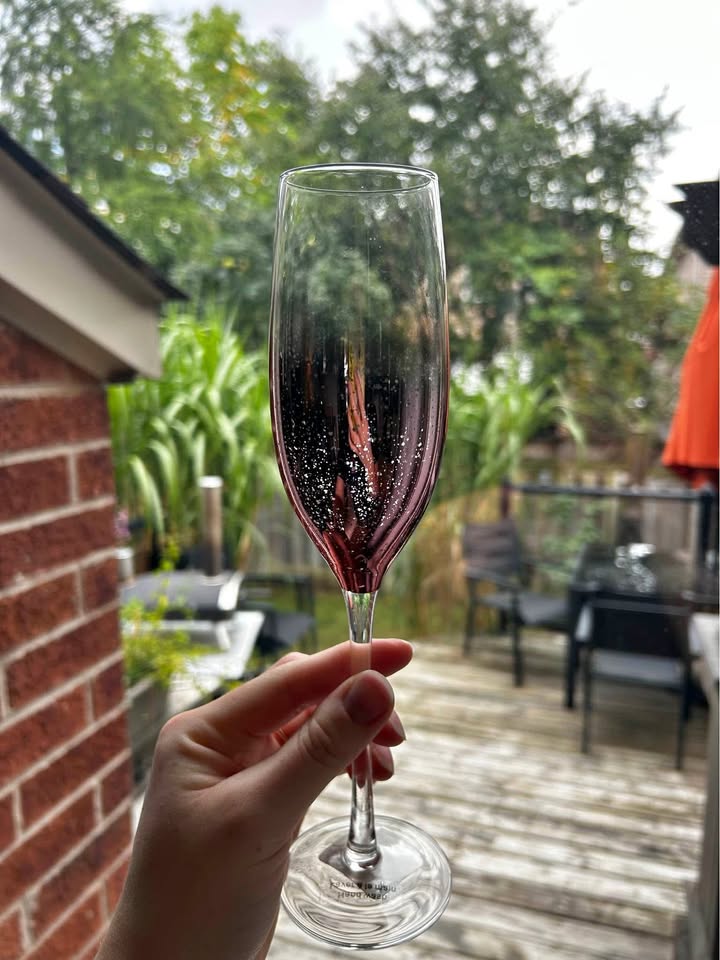 Urban Barn Pink Champagne Flutes - Set of 8