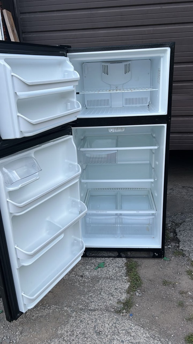 Electrolux Fridge - photo 2