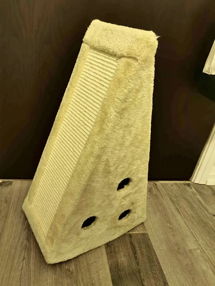 Cat Scratching Post