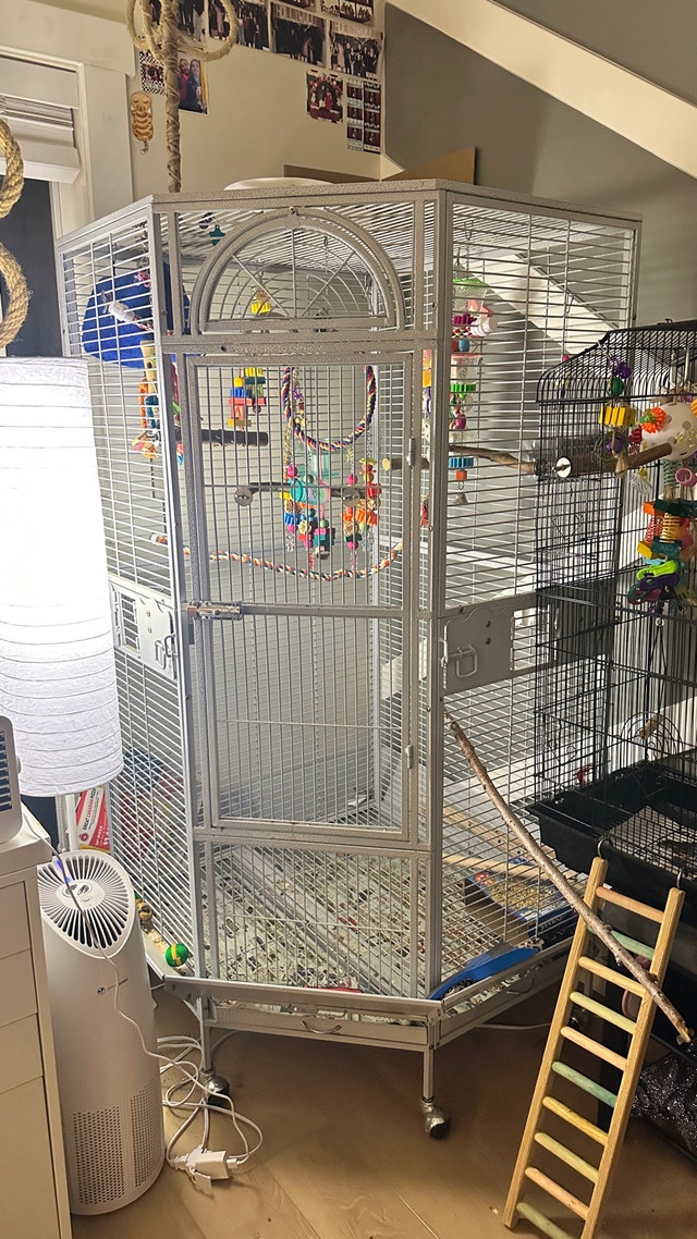 Large bird flight cage - photo 2