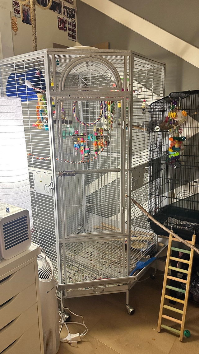 Large bird flight cage - photo 3