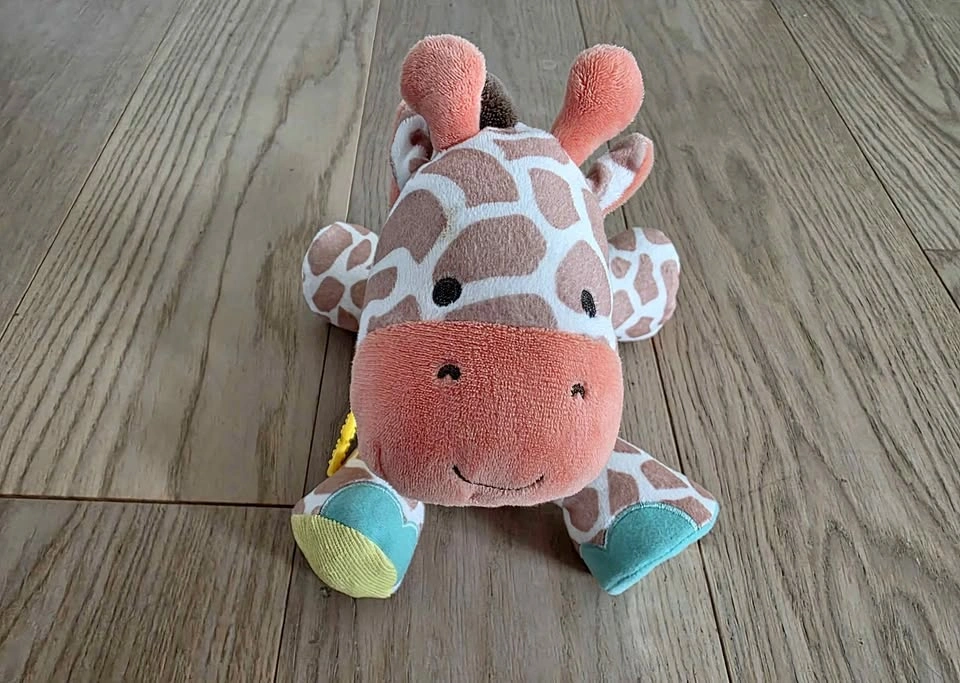 Plush giraffe rattle and teething toy from Carters